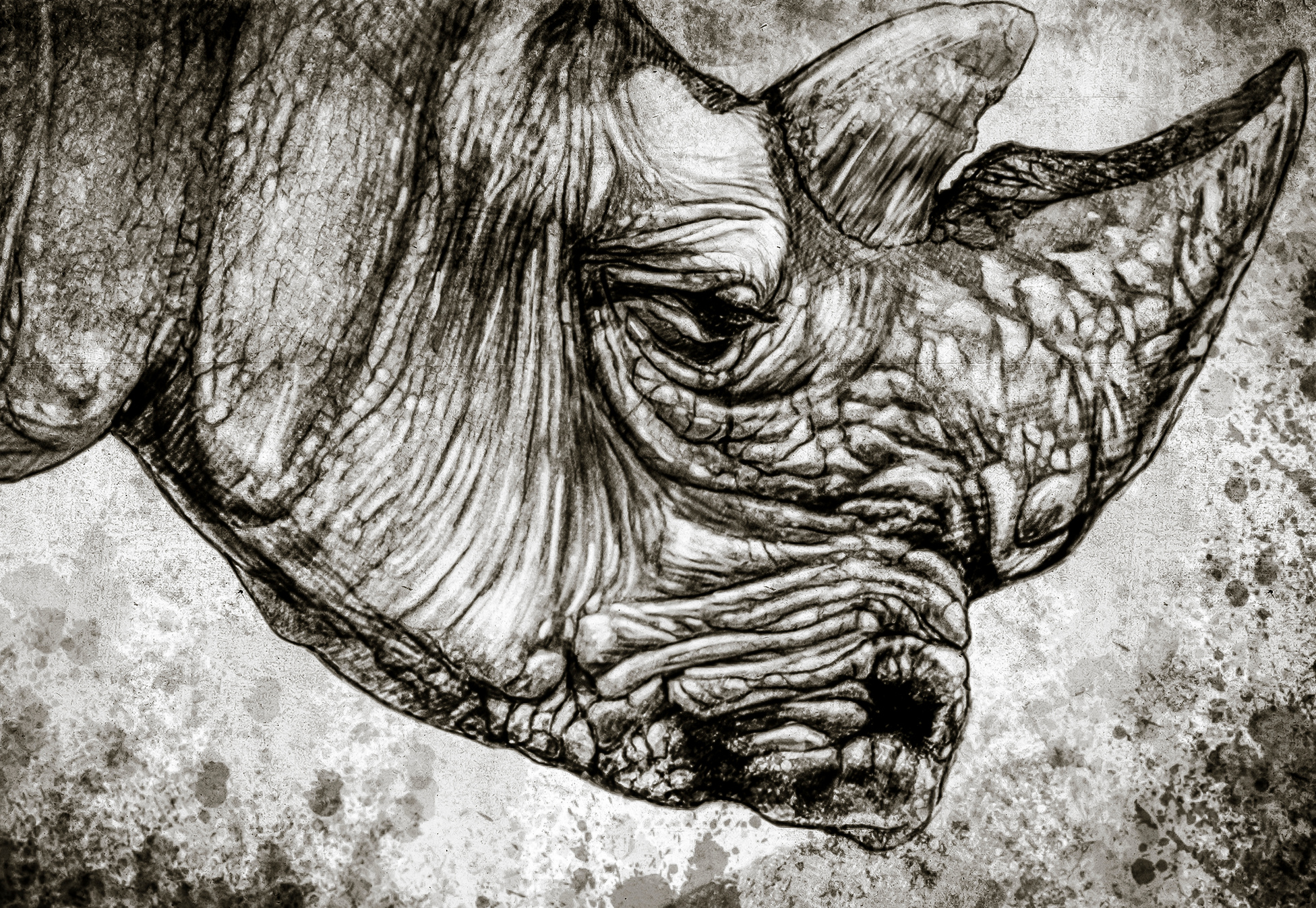 Sketch Made with Digital Tablet