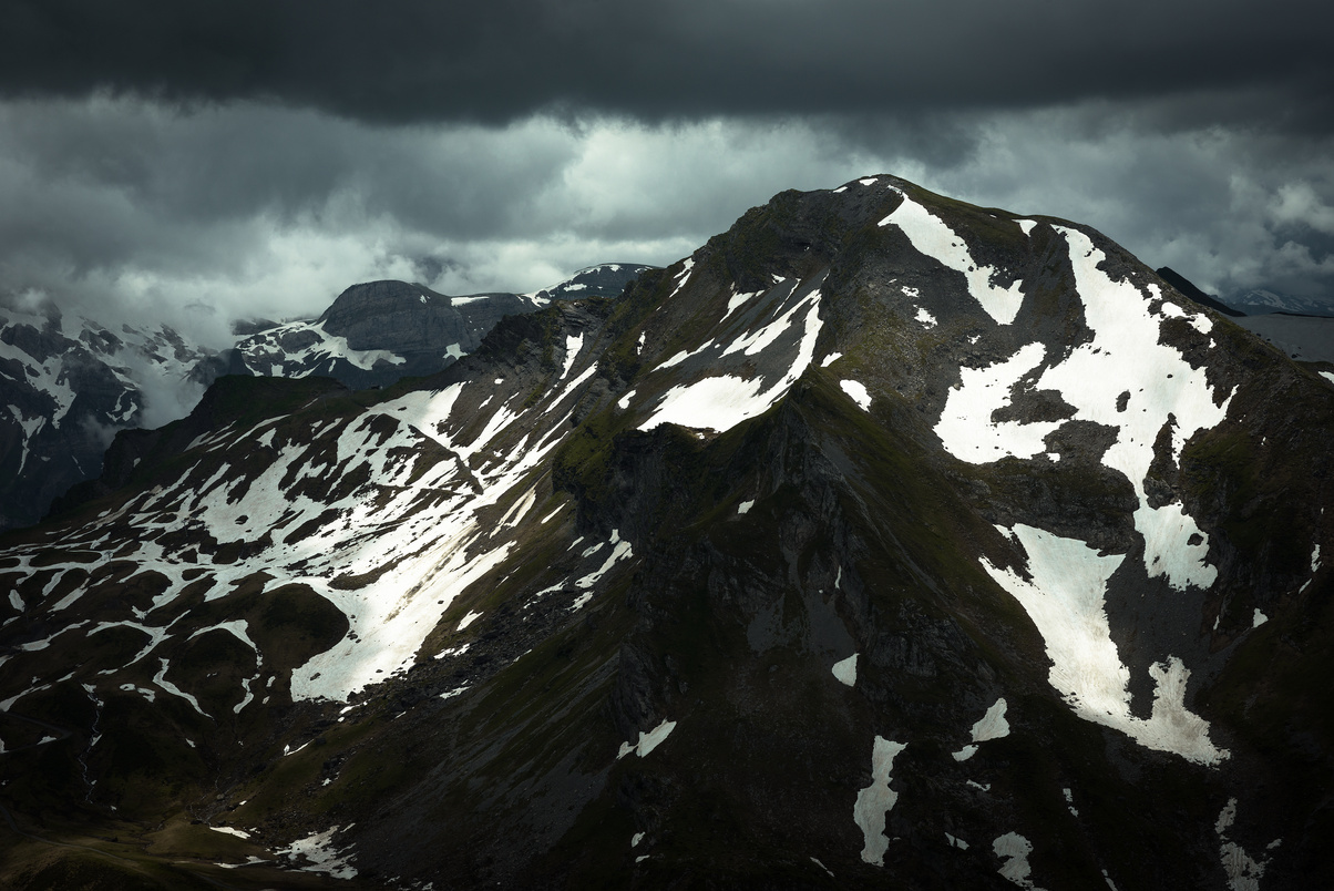 Natural Black And White