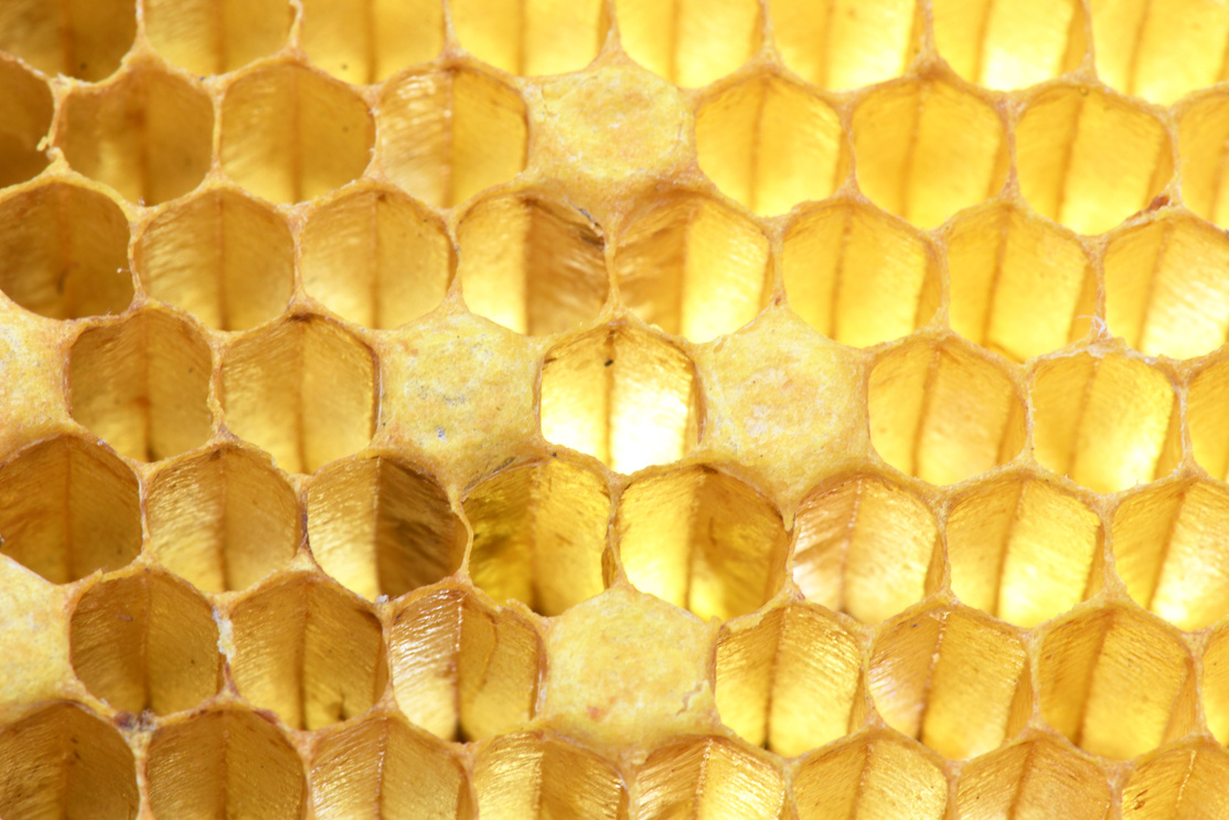 Bee Hive for background.